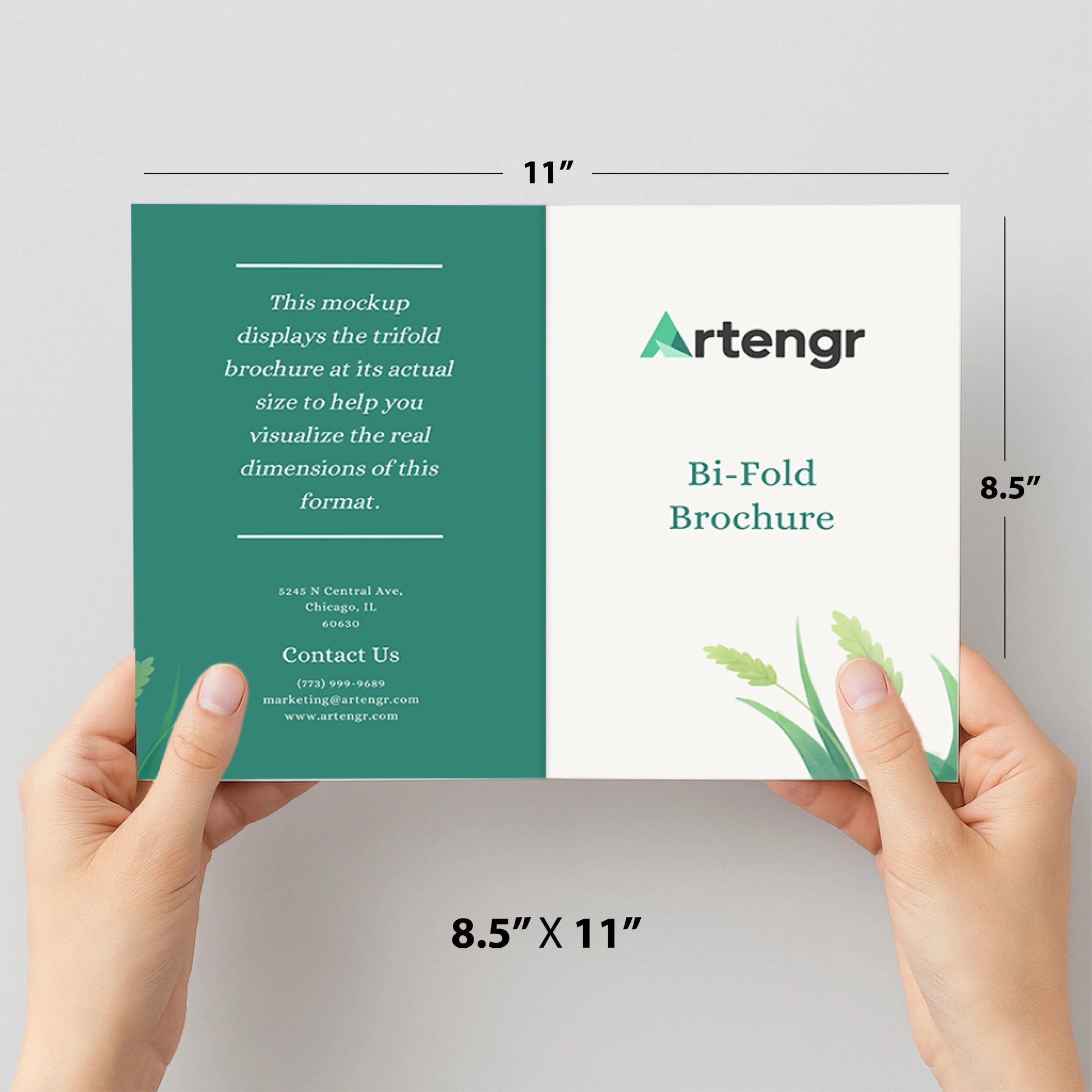 Bi-fold  Menu My Store